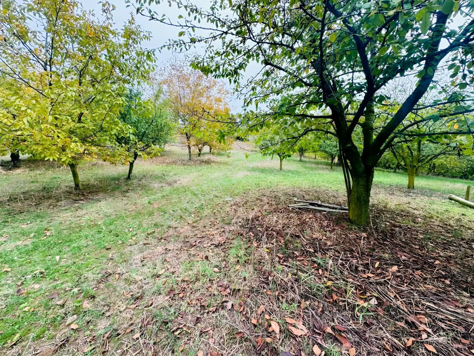 Sapanca Gölü Ayaklarınızın Altında ! Satılık 6.670 M2 Bahçe !!! — fotoğraf 14