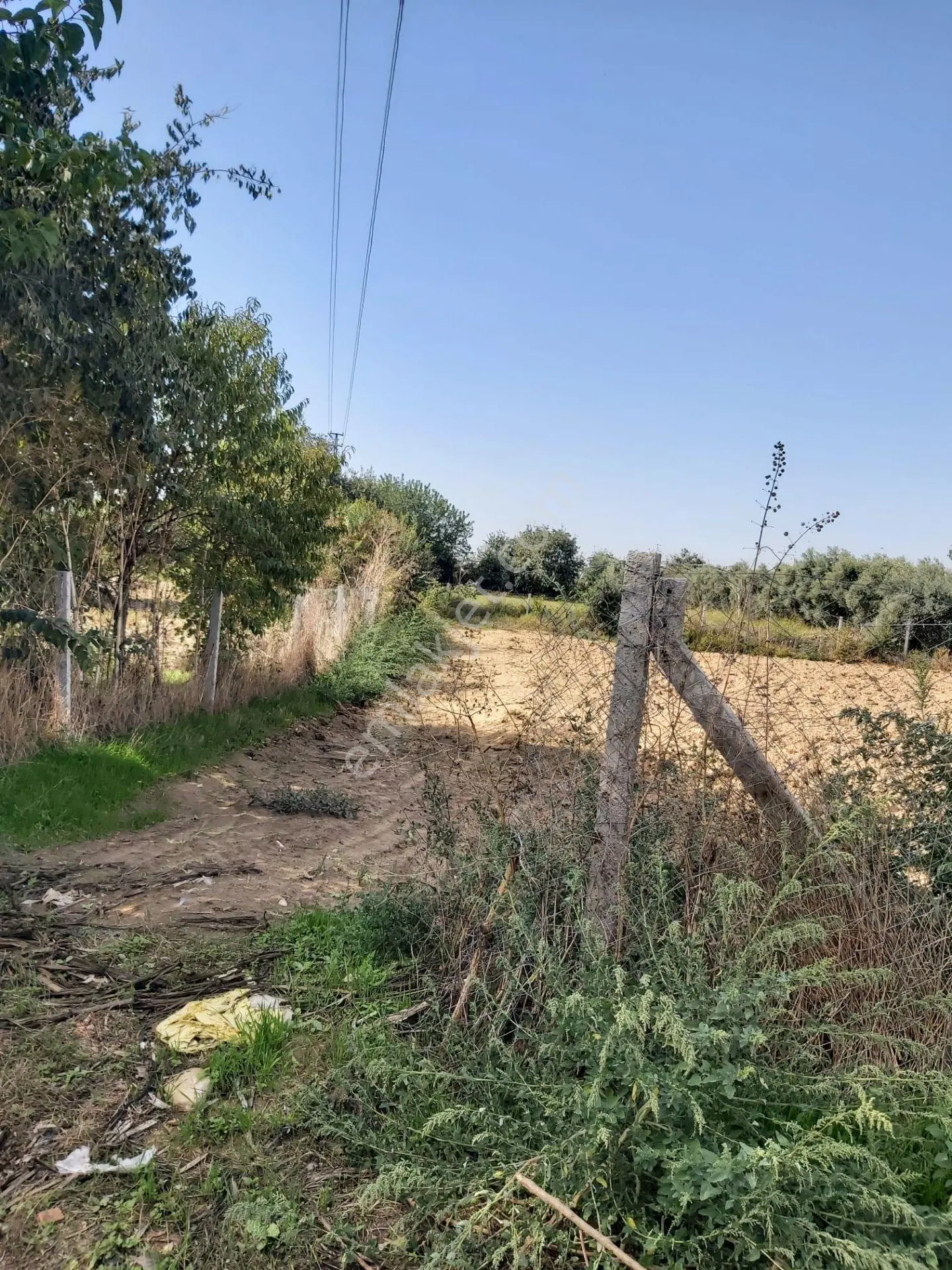 Ödemiş Çaylı Mahallesi'nde Satılık Arazi — fotoğraf 6