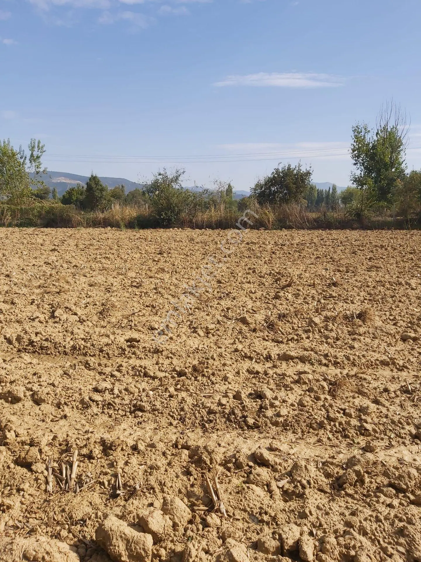 Ödemiş Çaylı Mahallesi'nde Satılık Arazi — fotoğraf 12