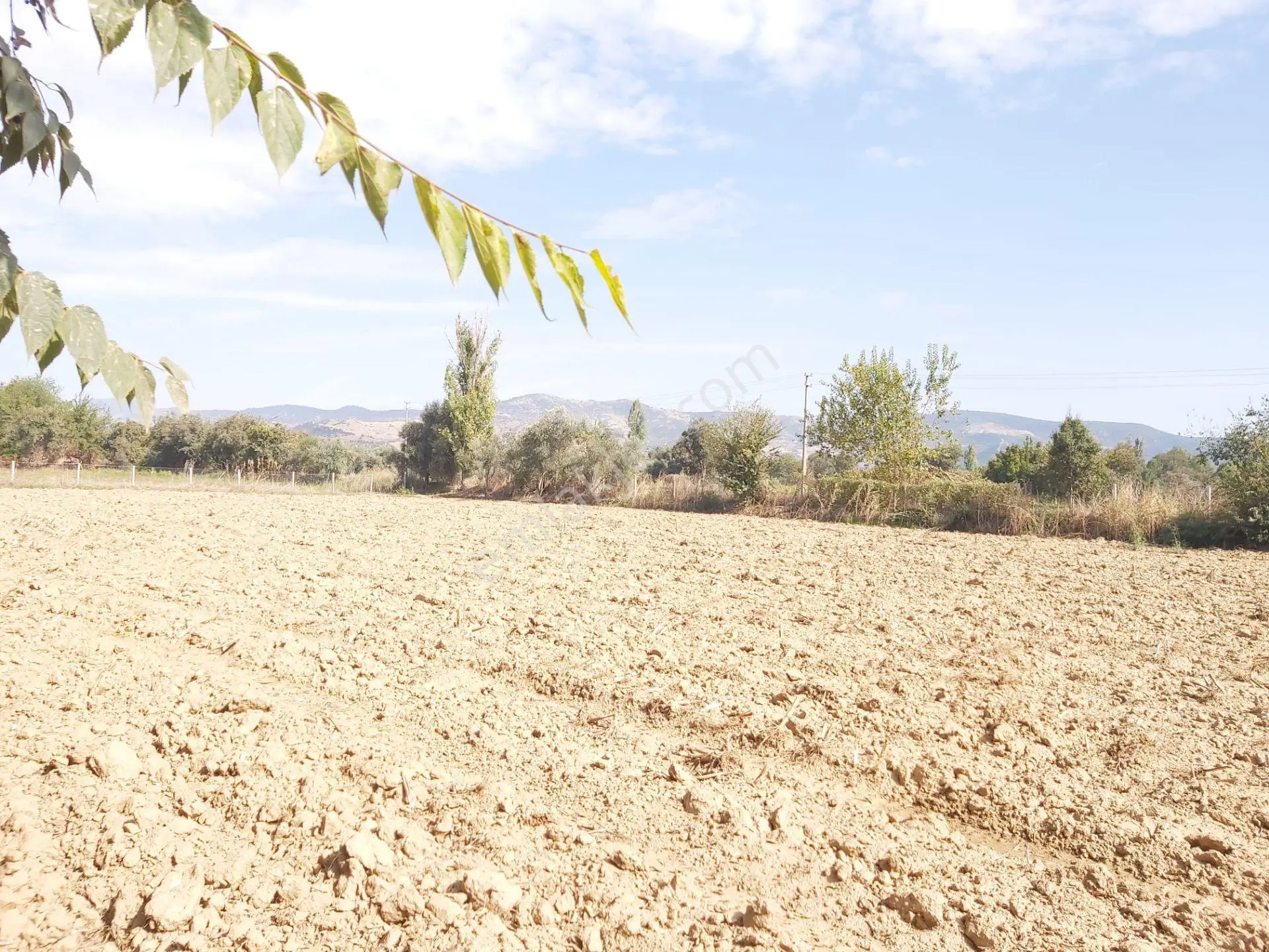 Ödemiş Çaylı Mahallesi'nde Satılık Arazi — fotoğraf 13