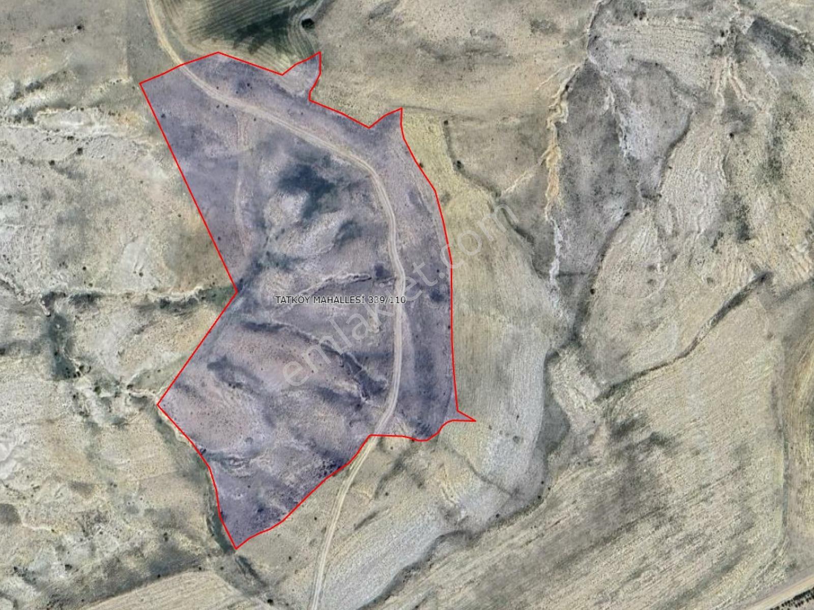 Selçuklu Tatköy'de 33.500 M² Müstakil Tapulu Satılık Tarla! — fotoğraf 4