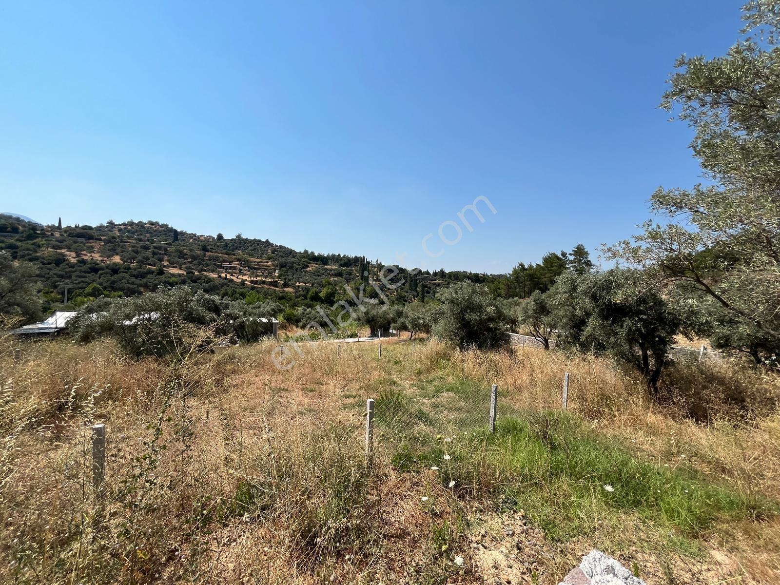 37 İzmir Kemalpaşa Yukarıkızılca Merkezde 530 M² Satılık Arsa — fotoğraf 11