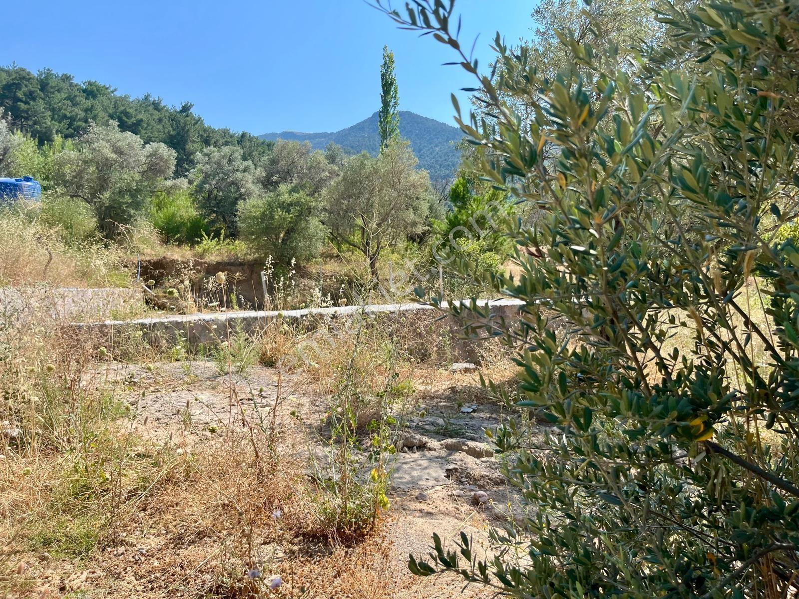 37 İzmir Kemalpaşa Yukarıkızılca Merkezde 530 M² Satılık Arsa — fotoğraf 13