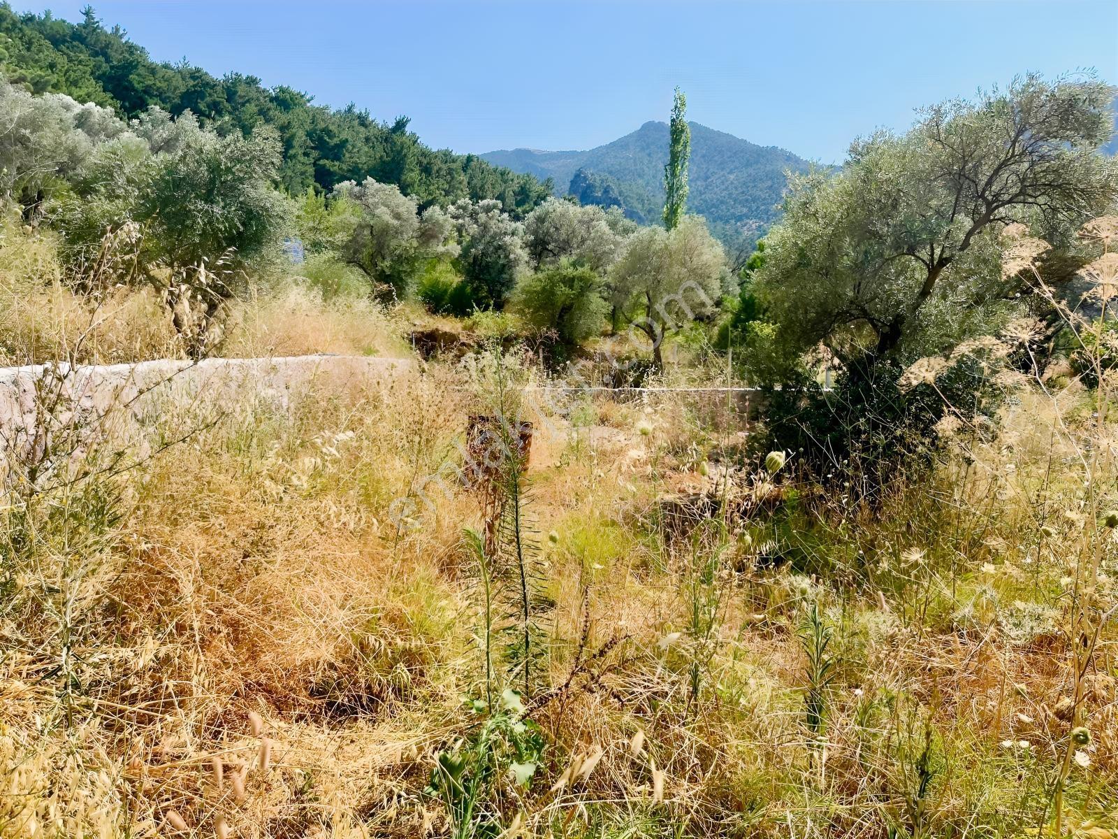 37 İzmir Kemalpaşa Yukarıkızılca Merkezde 530 M² Satılık Arsa — fotoğraf 14
