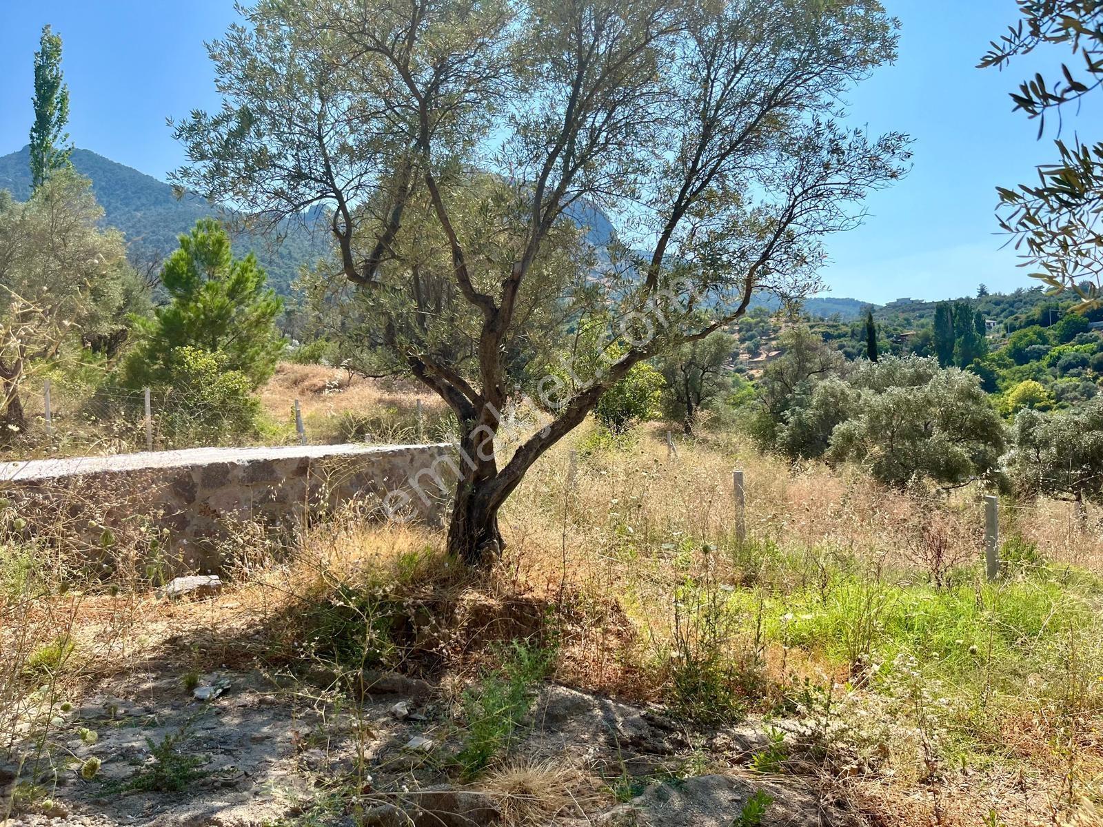 37 İzmir Kemalpaşa Yukarıkızılca Merkezde 530 M² Satılık Arsa — fotoğraf 15