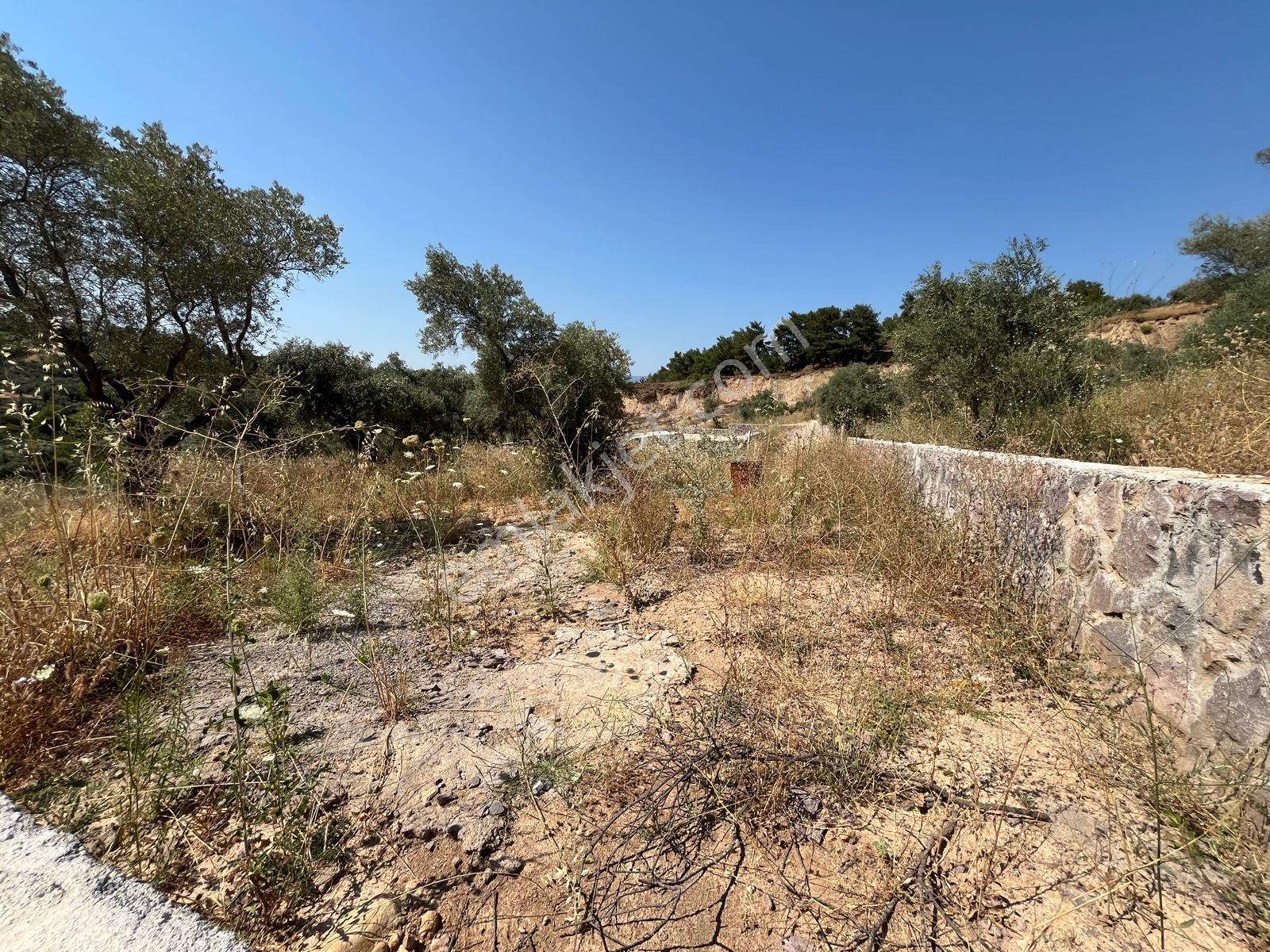 37 İzmir Kemalpaşa Yukarıkızılca Merkezde 530 M² Satılık Arsa — fotoğraf 16