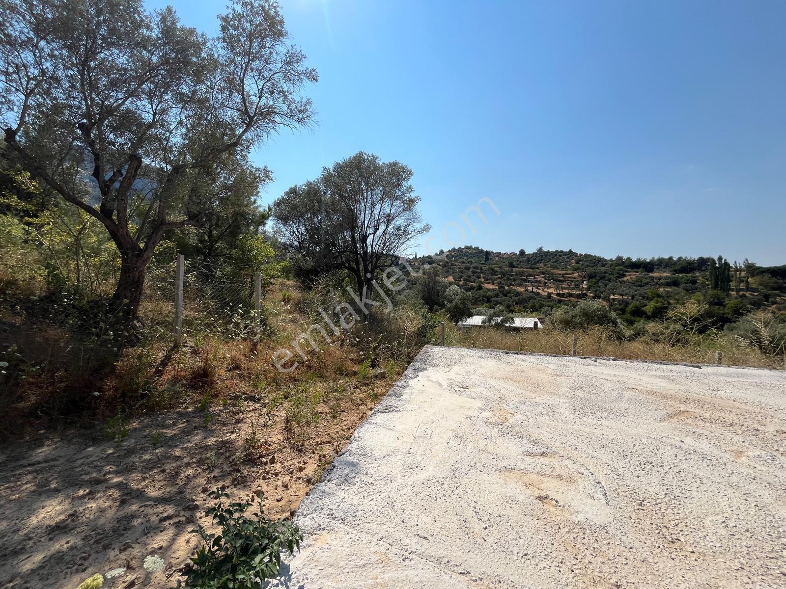 37 İzmir Kemalpaşa Yukarıkızılca Merkezde 530 M² Satılık Arsa — fotoğraf 22
