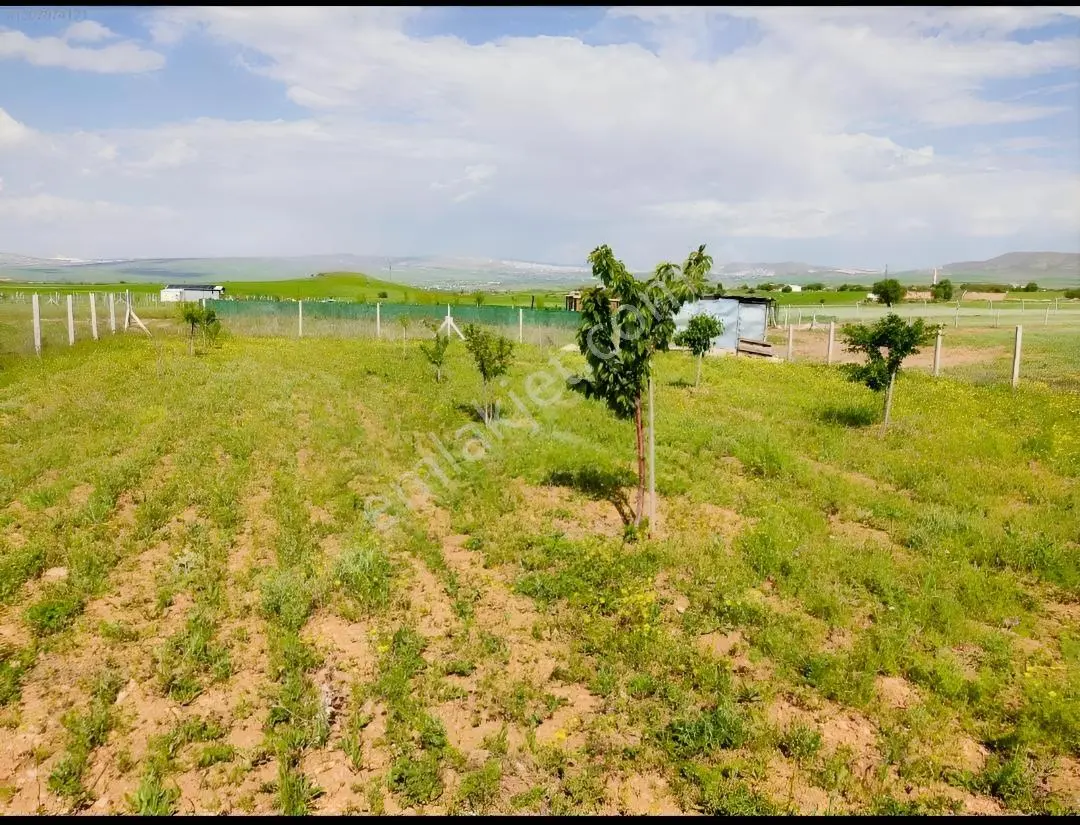 Poyraz Karakoluna Varmadan Şehir Merkezıne 15 Km — fotoğraf 2
