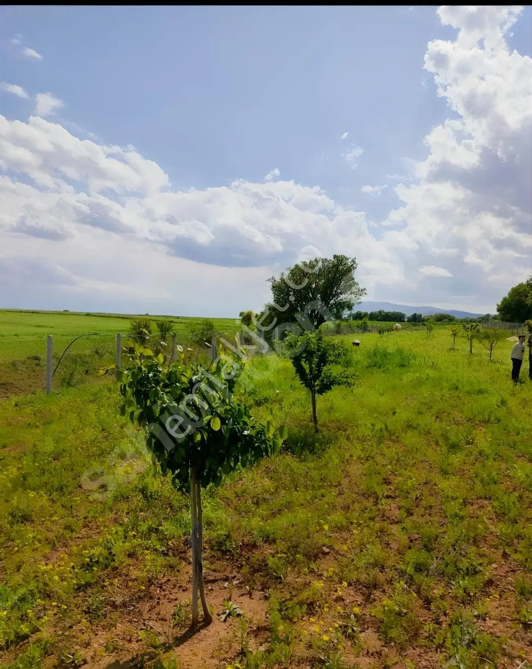 Poyraz Karakoluna Varmadan Şehir Merkezıne 15 Km — fotoğraf 4