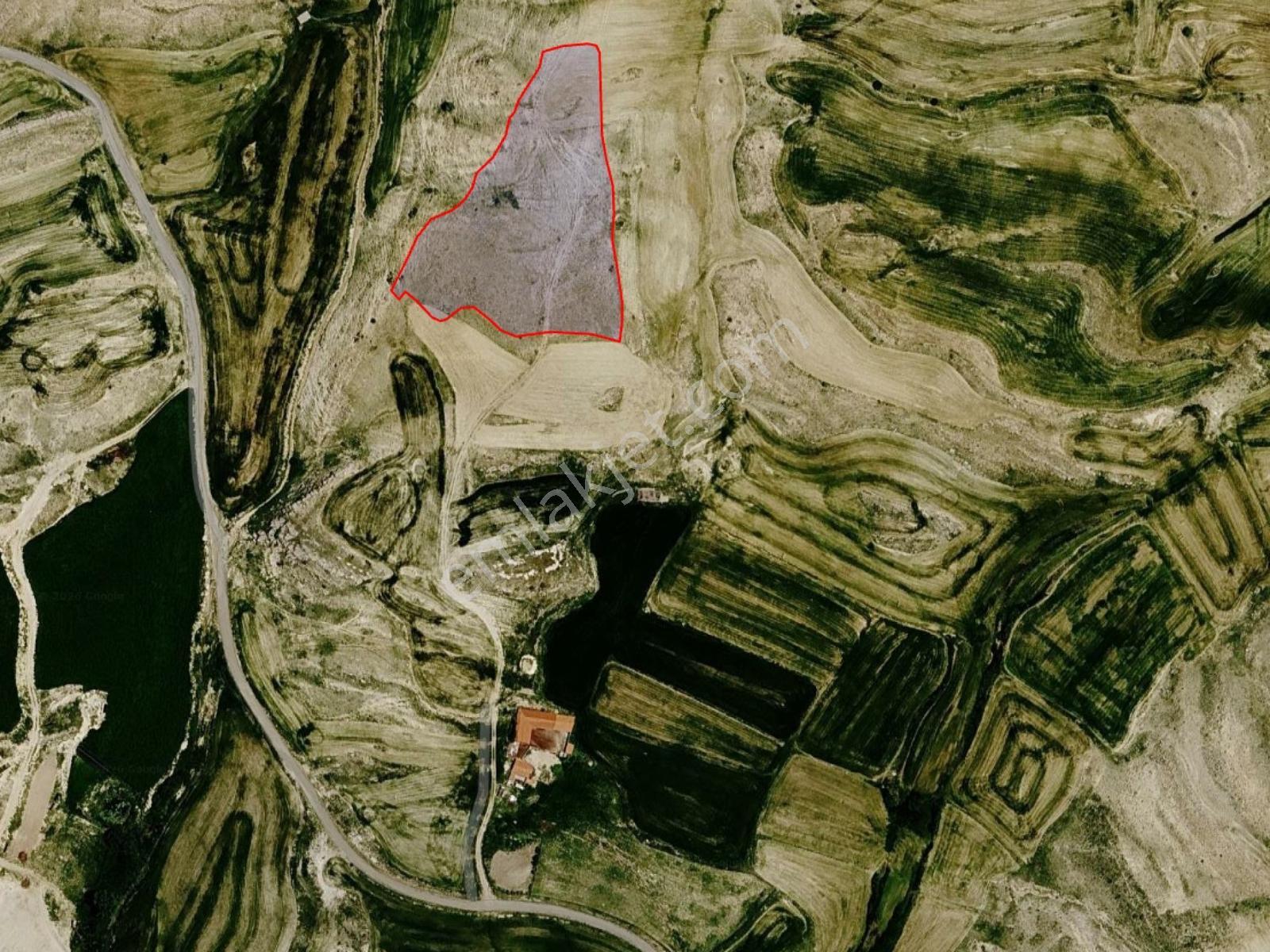 Selçuklu Tatköy'de 12.700 M² Müstakil Tapulu Satılık Tarla! — fotoğraf 6