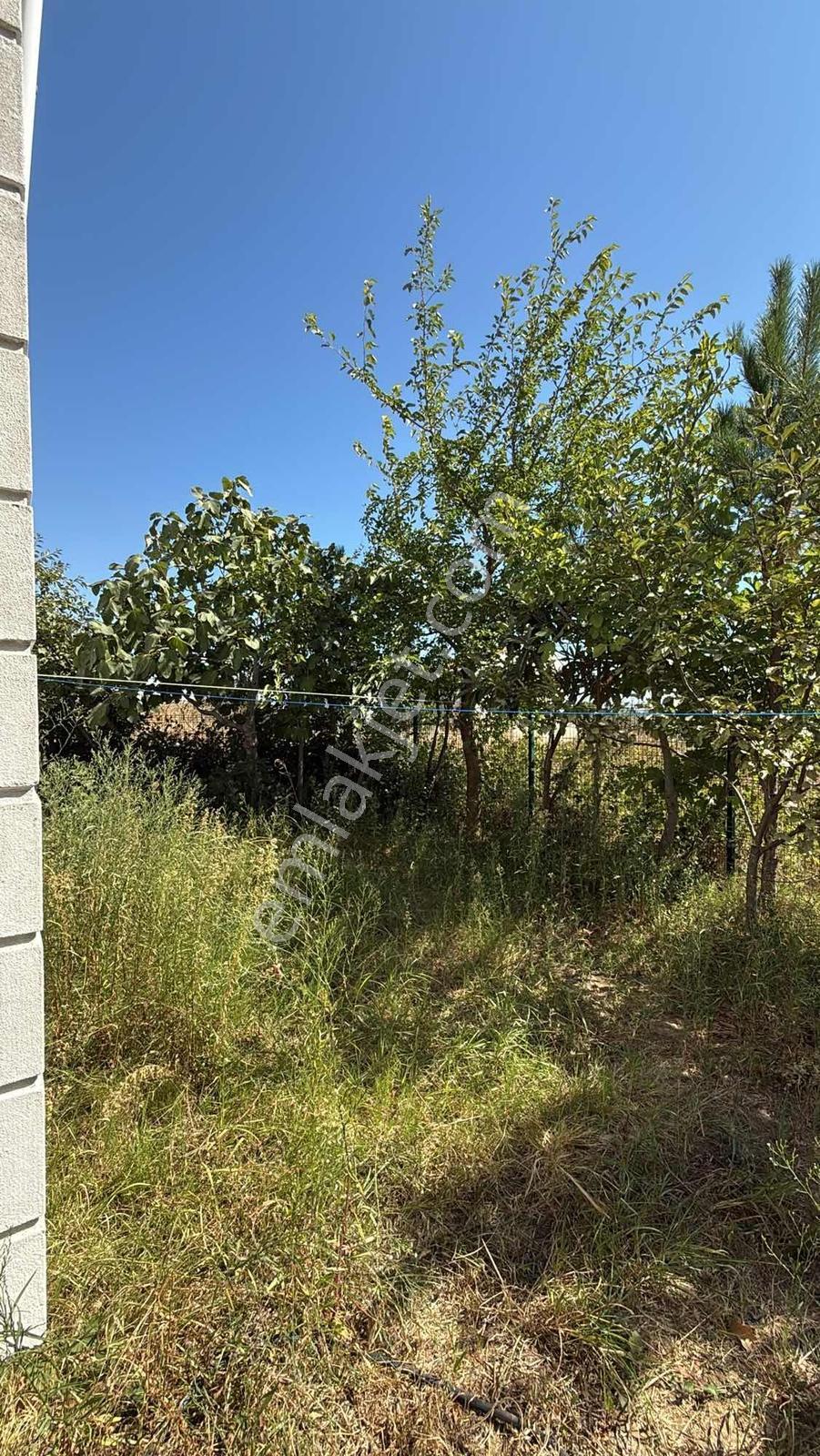 Tekirdağ Suleymanpaşa Kelepir Villa — fotoğraf 11