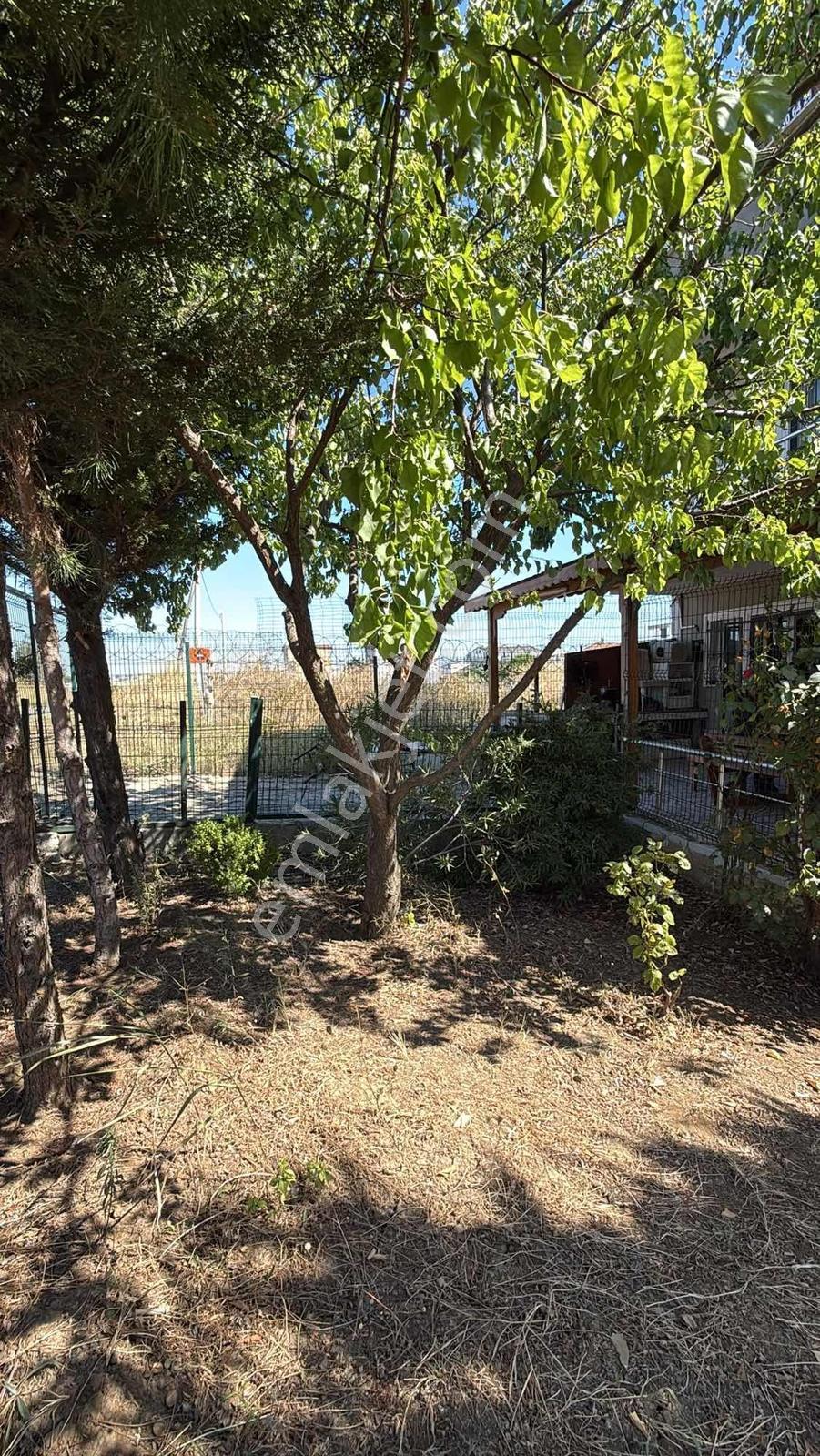 Tekirdağ Suleymanpaşa Kelepir Villa — fotoğraf 12