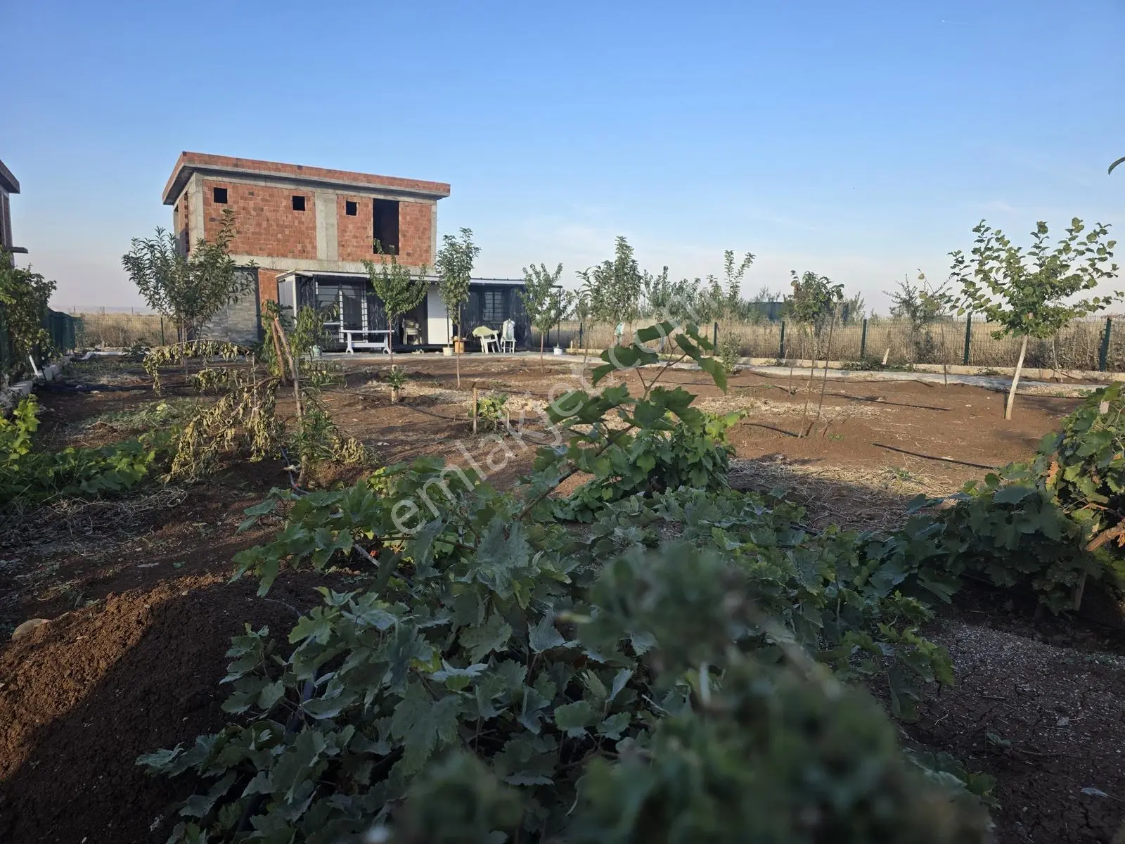 Çınar Emlak Kıra Dağı Düzlüğünde Bağ Bahçesi Satıyor — fotoğraf 3