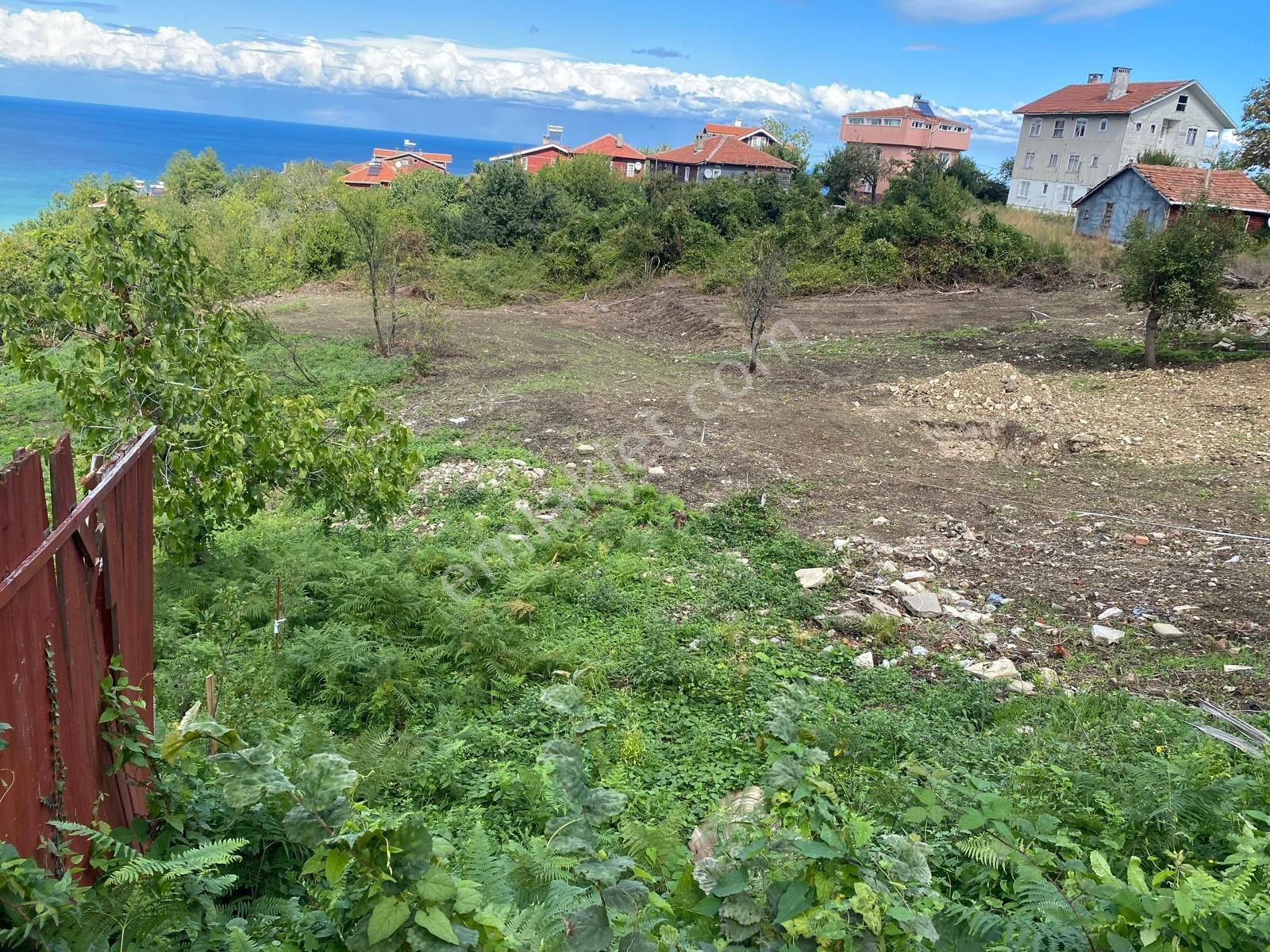 Yine Zeybek* Den Beldeğirmeni Satılık Arsa Köy Yerleşik Alan İçi — fotoğraf 8