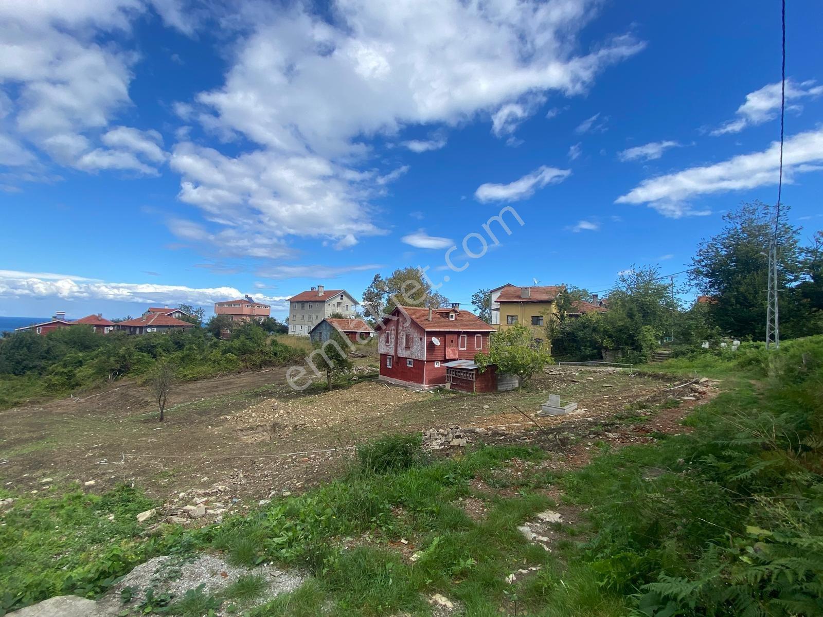 Yine Zeybek* Den Beldeğirmeni Satılık Arsa Köy Yerleşik Alan İçi — fotoğraf 16