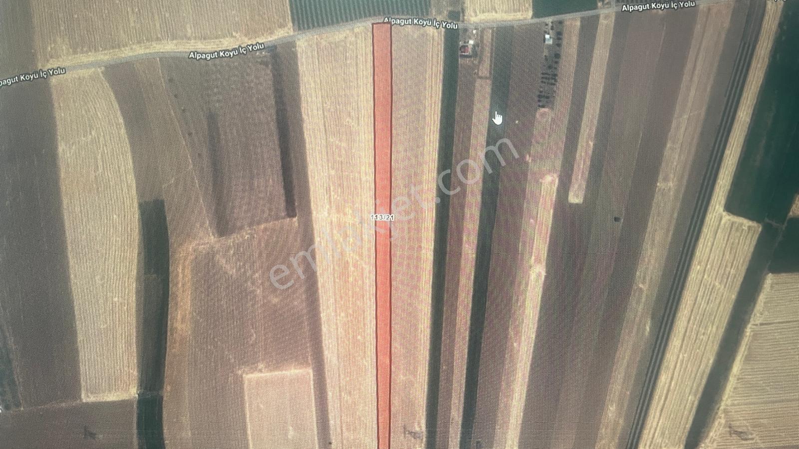 Merkez Alpavut Satılık Tarla Fırsat