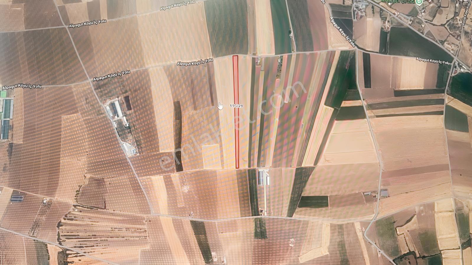 Merkez Alpavut Satılık Tarla Fırsat — fotoğraf 2