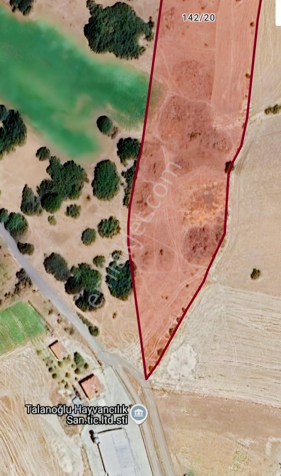 Sütlüce Köyünde Baskil Çevre Yoluna 800m 24 Dönüm Satılık Tarla — fotoğraf 3