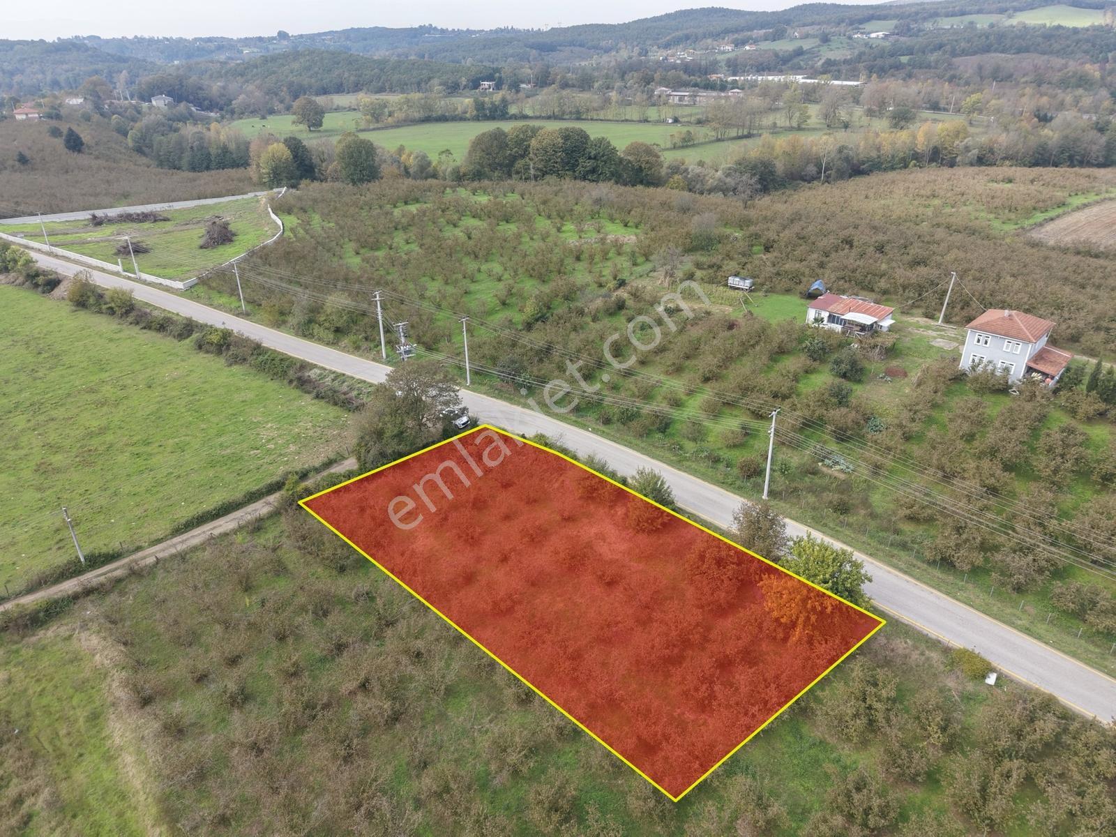 Emlakevim - Yeşilvadi Mah. De Satılık 1000 M2 İmarlı Arsa !! — fotoğraf 2