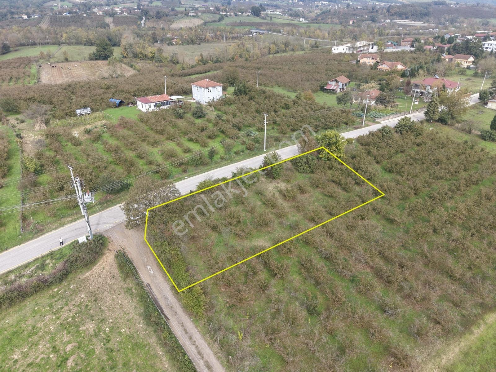 Emlakevim - Yeşilvadi Mah. De Satılık 1000 M2 İmarlı Arsa !! — fotoğraf 3