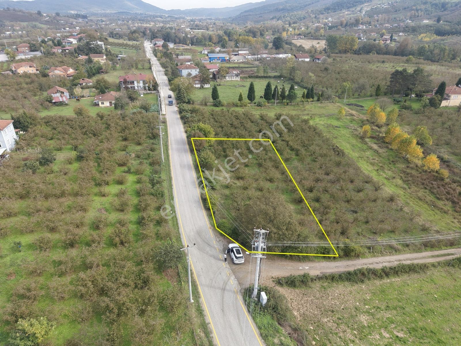 Emlakevim - Yeşilvadi Mah. De Satılık 1000 M2 İmarlı Arsa !! — fotoğraf 4