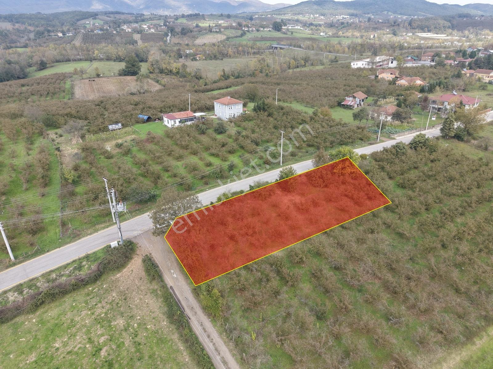 Emlakevim - Yeşilvadi Mah. De Satılık 1000 M2 İmarlı Arsa !! — fotoğraf 10