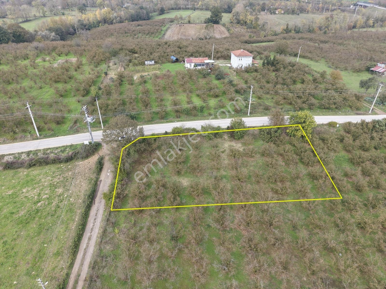 Emlakevim - Yeşilvadi Mah. De Satılık 1000 M2 İmarlı Arsa !! — fotoğraf 12