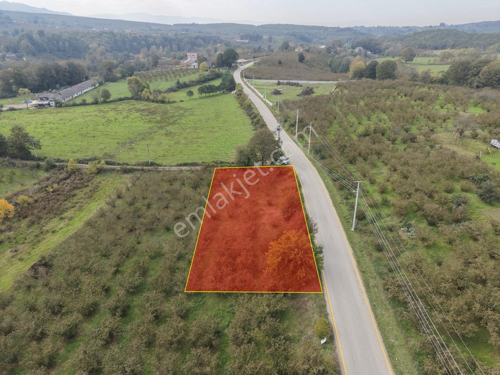 Emlakevim - Yeşilvadi Mah. De Satılık 1000 M2 İmarlı Arsa !! — fotoğraf 15