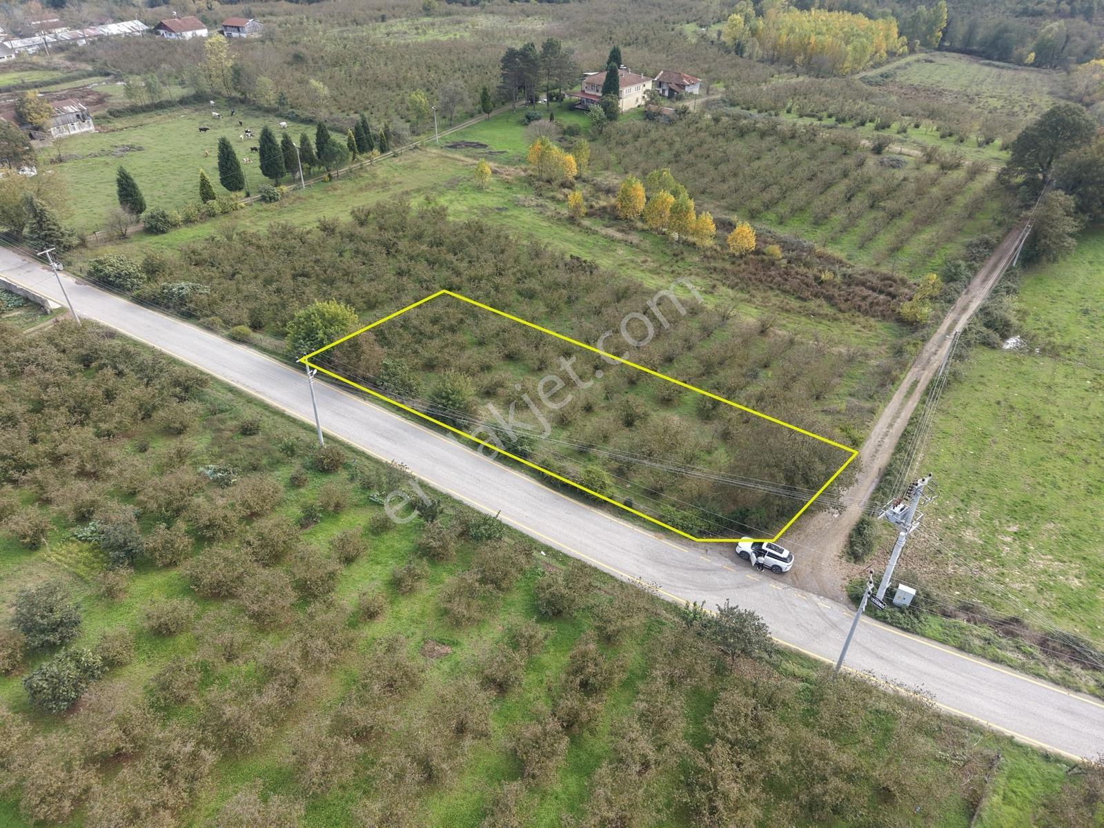 Emlakevim - Yeşilvadi Mah. De Satılık 1000 M2 İmarlı Arsa !! — fotoğraf 17