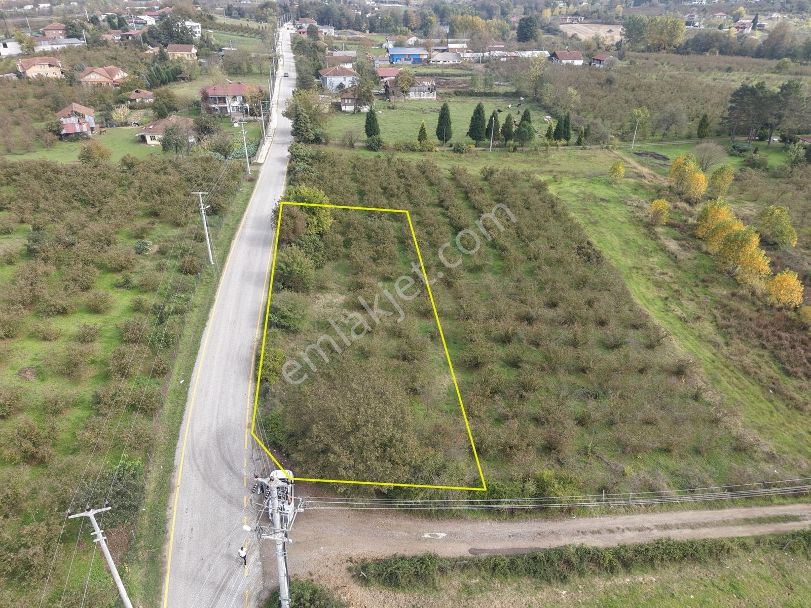 Emlakevim - Yeşilvadi Mah. De Satılık 1000 M2 İmarlı Arsa !! — fotoğraf 19