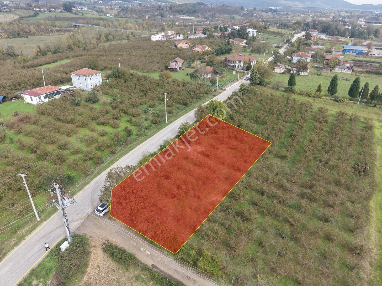 Emlakevim - Yeşilvadi Mah. De Satılık 1000 M2 İmarlı Arsa !! — fotoğraf 20