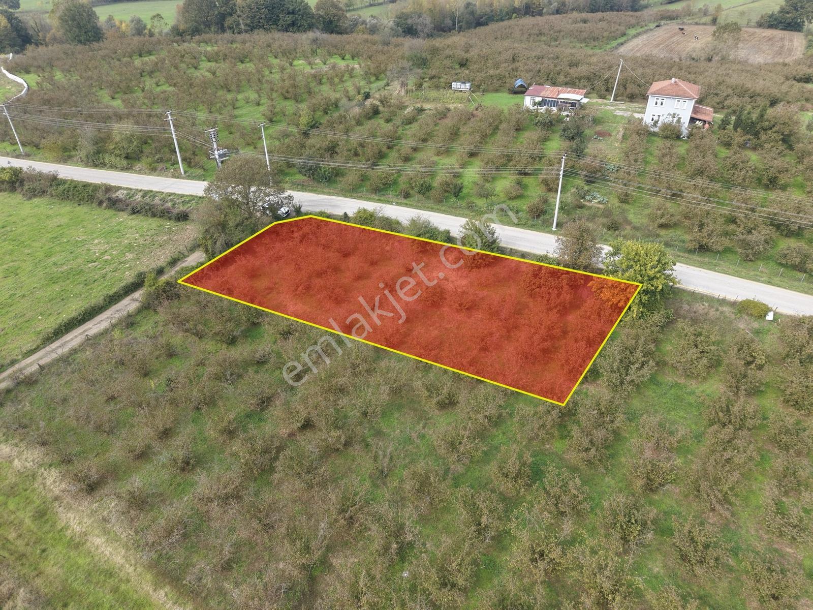 Emlakevim - Yeşilvadi Mah. De Satılık 1000 M2 İmarlı Arsa !! — fotoğraf 21