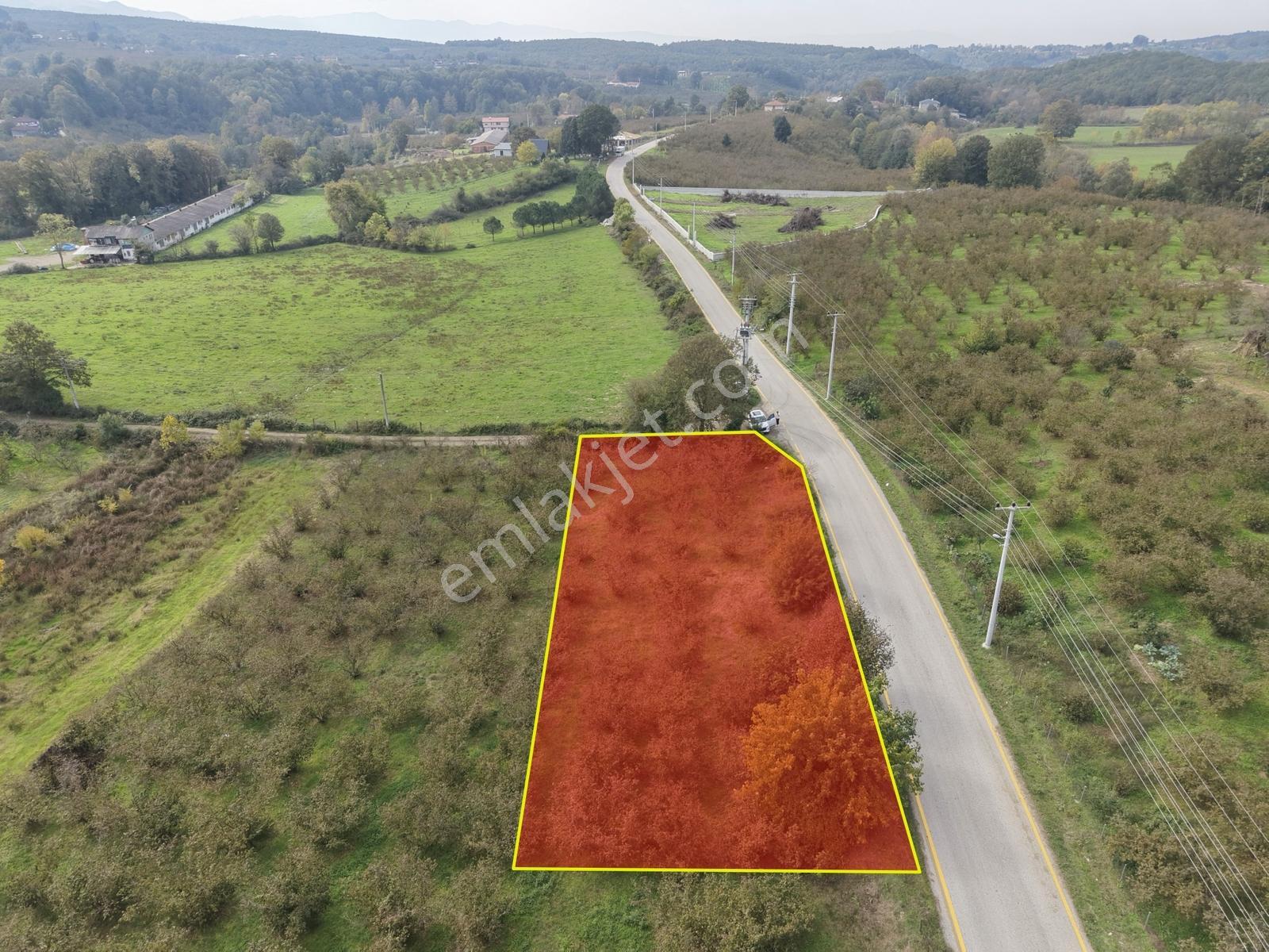 Emlakevim - Yeşilvadi Mah. De Satılık 1000 M2 İmarlı Arsa !! — fotoğraf 23