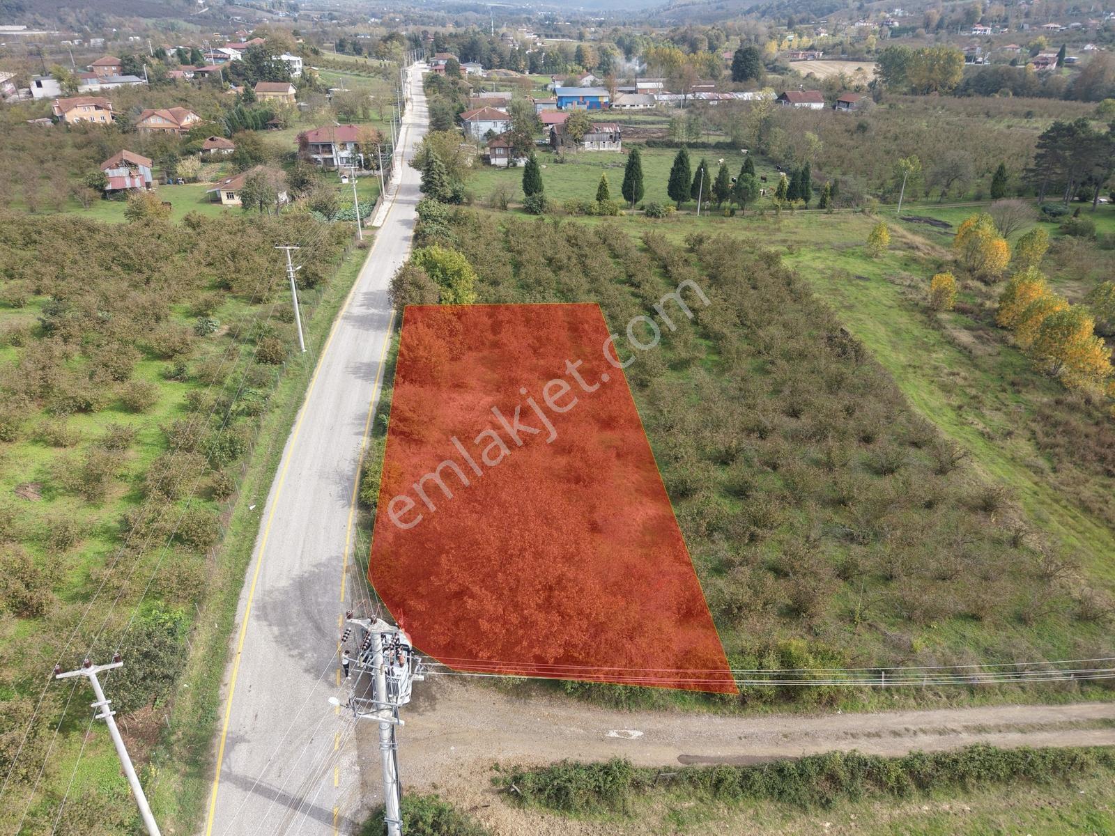 Emlakevim - Yeşilvadi Mah. De Satılık 1000 M2 İmarlı Arsa !! — fotoğraf 24