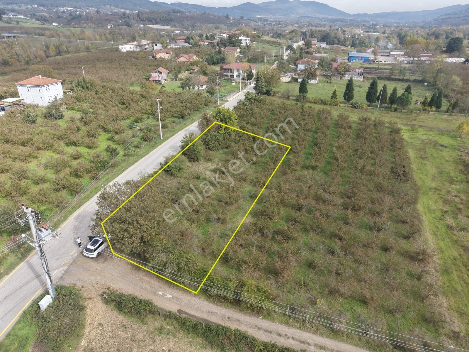 Emlakevim - Yeşilvadi Mah. De Satılık 1000 M2 İmarlı Arsa !! — fotoğraf 25