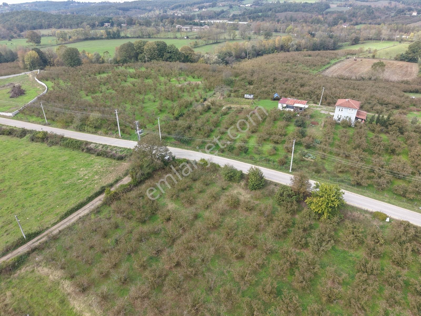 Emlakevim - Yeşilvadi Mah. De Satılık 1000 M2 İmarlı Arsa !! — fotoğraf 28