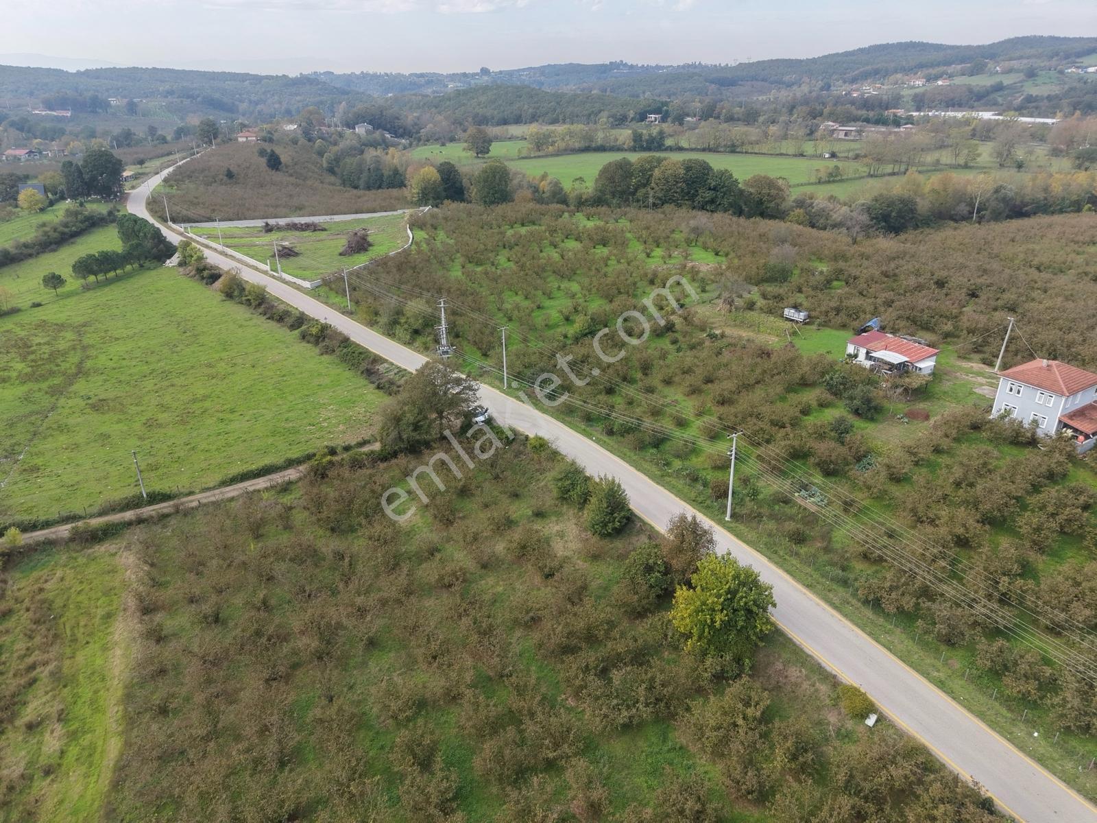 Emlakevim - Yeşilvadi Mah. De Satılık 1000 M2 İmarlı Arsa !! — fotoğraf 29