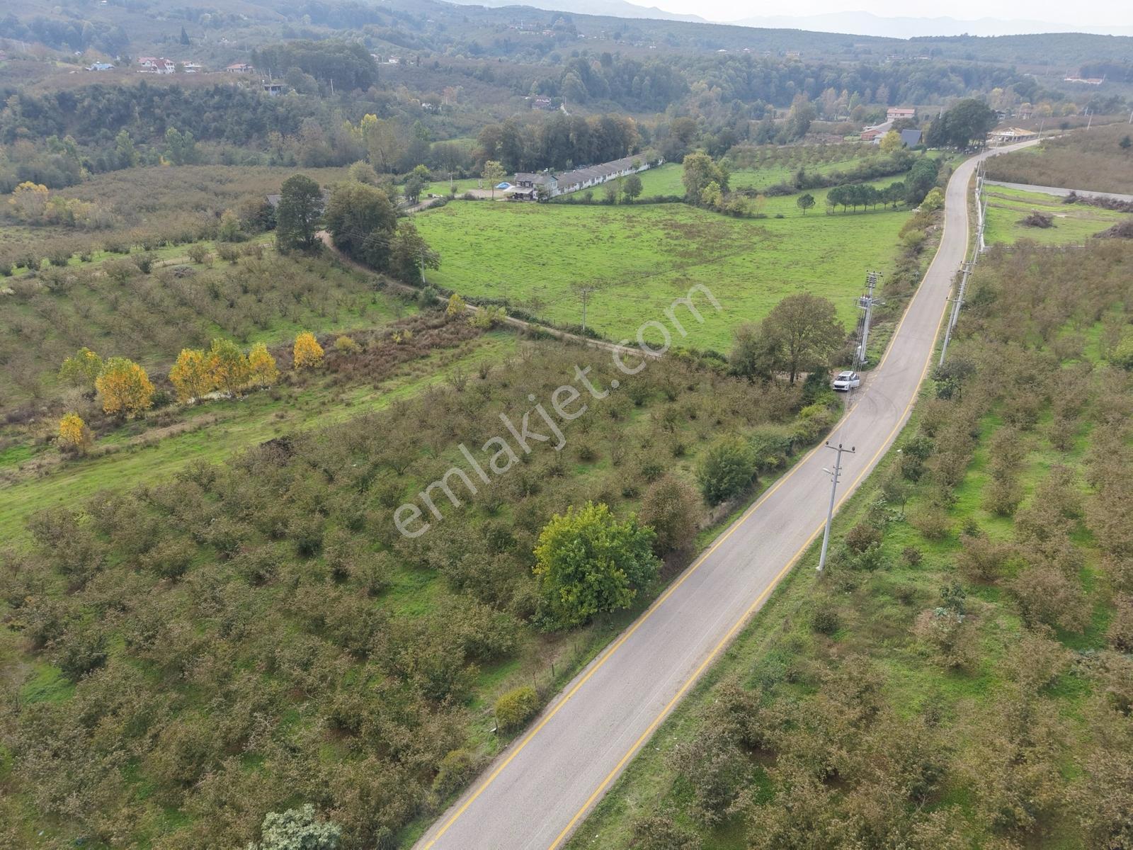 Emlakevim - Yeşilvadi Mah. De Satılık 1000 M2 İmarlı Arsa !! — fotoğraf 30
