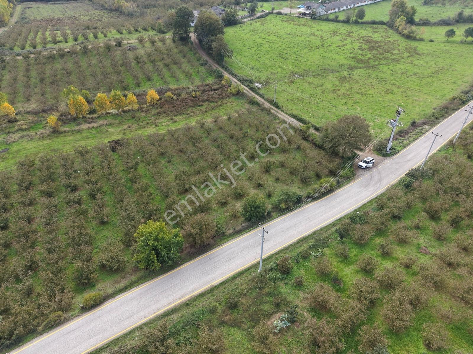 Emlakevim - Yeşilvadi Mah. De Satılık 1000 M2 İmarlı Arsa !! — fotoğraf 31