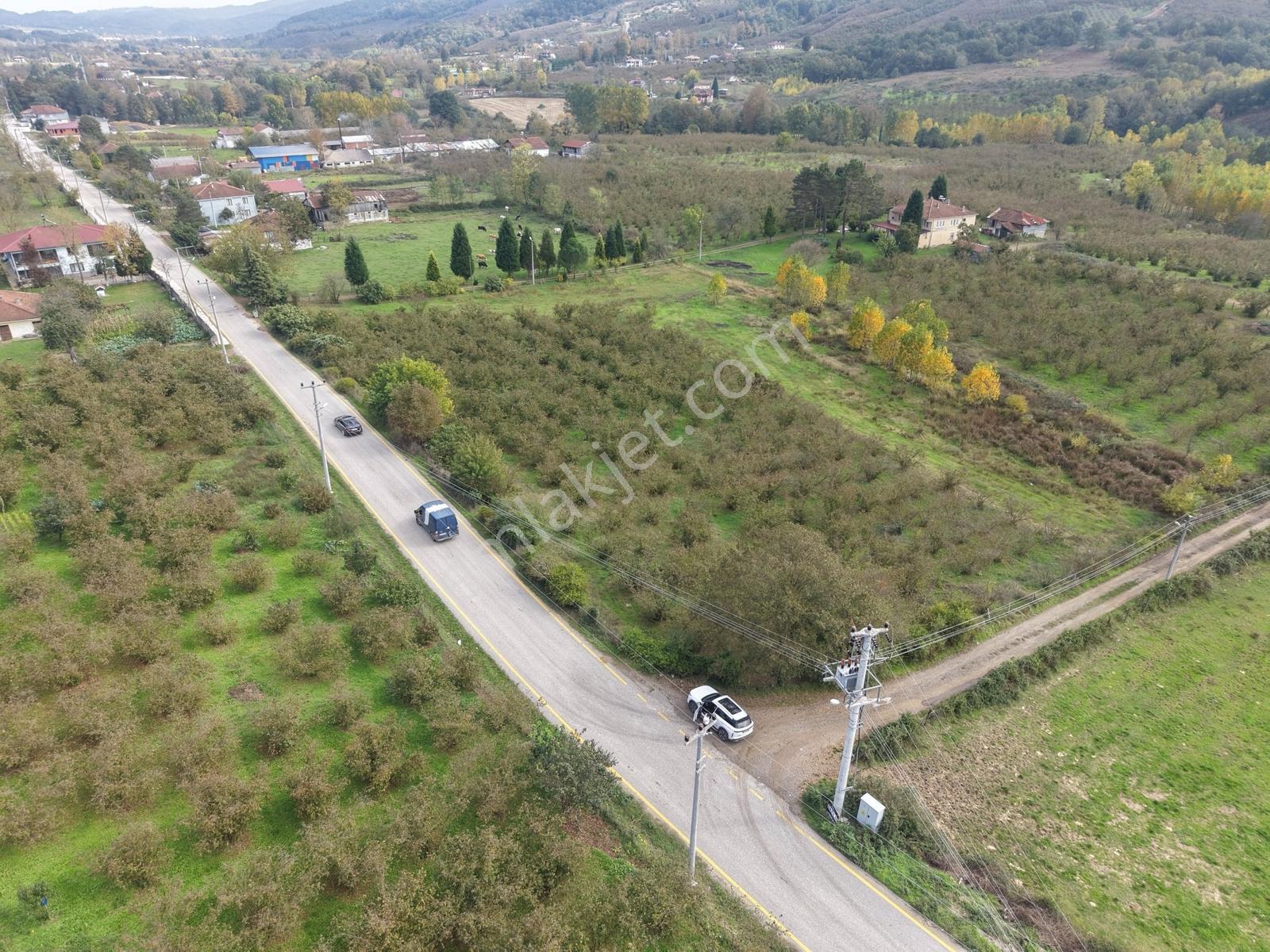 Emlakevim - Yeşilvadi Mah. De Satılık 1000 M2 İmarlı Arsa !! — fotoğraf 32