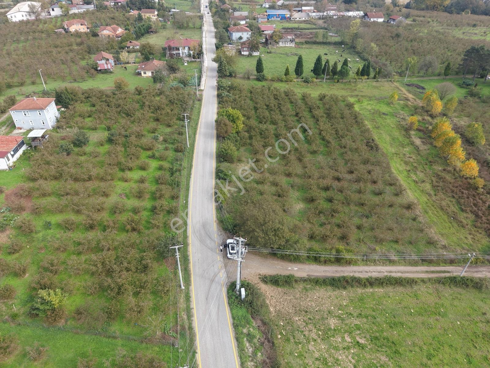 Emlakevim - Yeşilvadi Mah. De Satılık 1000 M2 İmarlı Arsa !! — fotoğraf 33