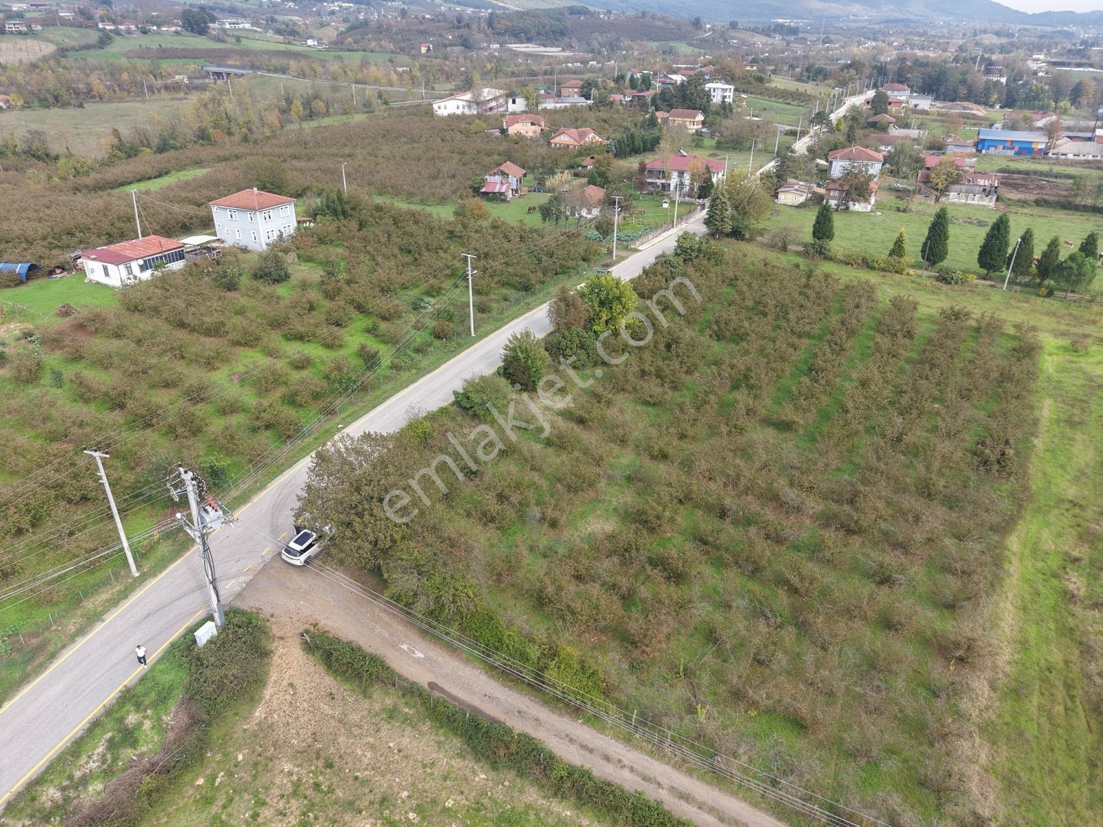 Emlakevim - Yeşilvadi Mah. De Satılık 1000 M2 İmarlı Arsa !! — fotoğraf 34