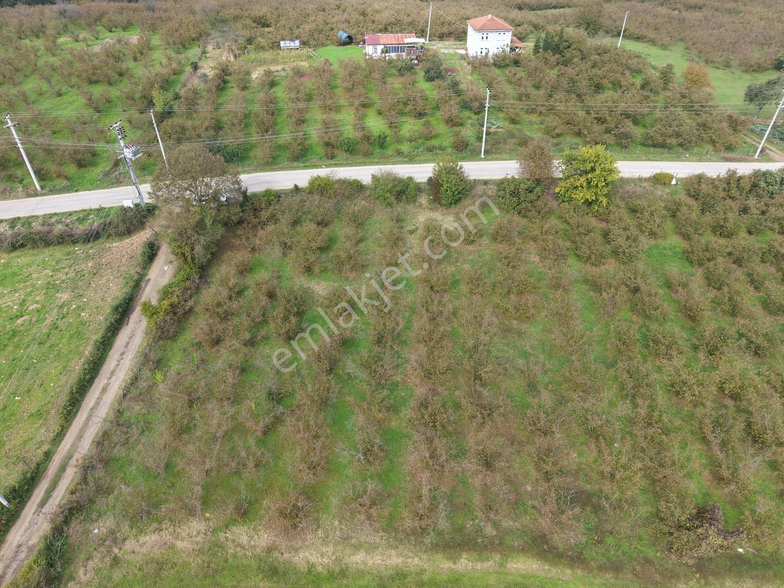 Emlakevim - Yeşilvadi Mah. De Satılık 1000 M2 İmarlı Arsa !! — fotoğraf 35
