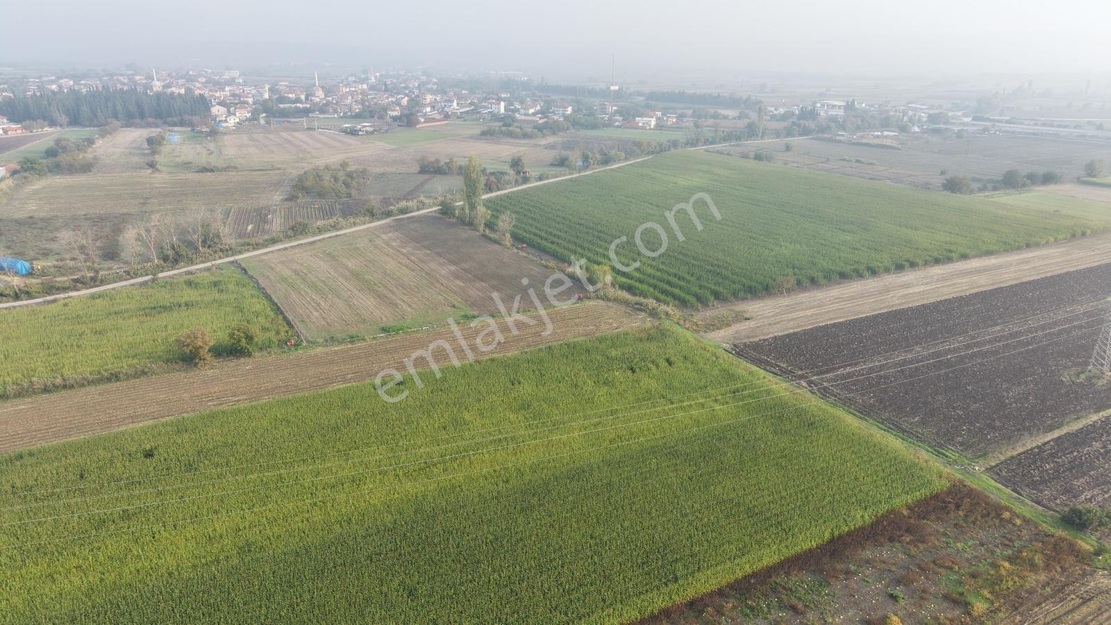 Balıkesir Altıeylül Pamukçuda Satılık 5.262 M² Tarla — fotoğraf 2