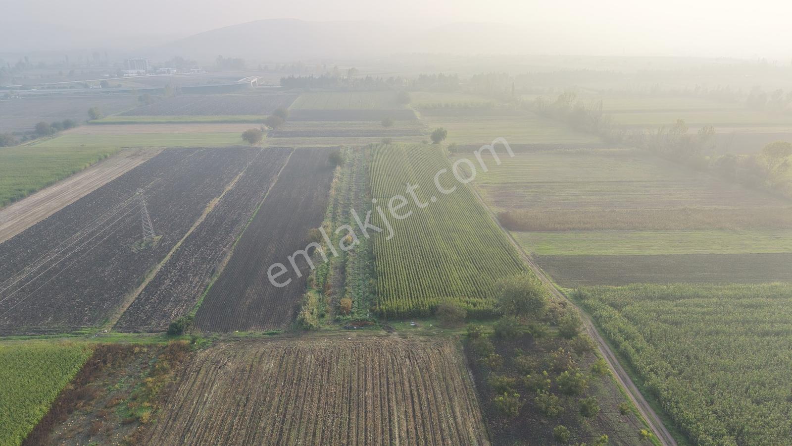 Balıkesir Altıeylül Pamukçuda Satılık 5.262 M² Tarla — fotoğraf 3