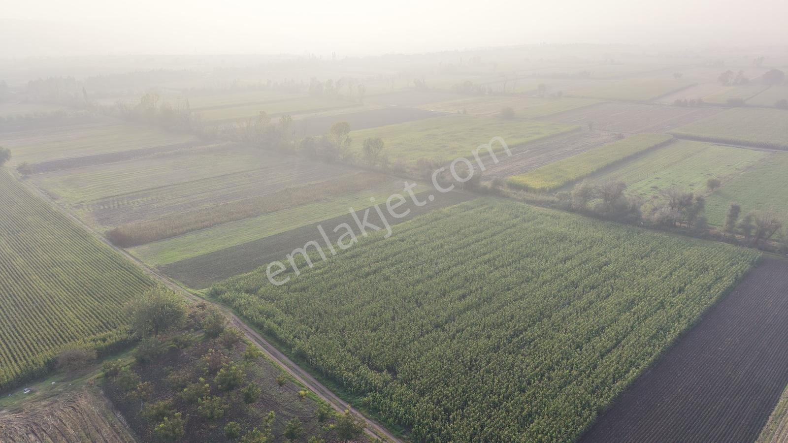 Balıkesir Altıeylül Pamukçuda Satılık 5.262 M² Tarla — fotoğraf 4