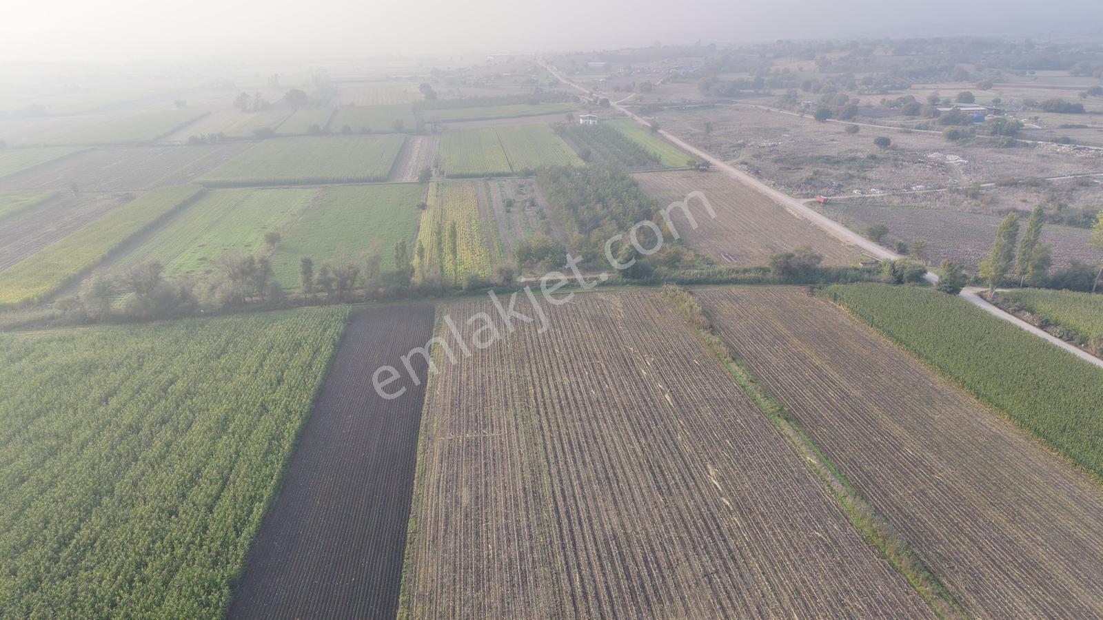Balıkesir Altıeylül Pamukçuda Satılık 5.262 M² Tarla — fotoğraf 5