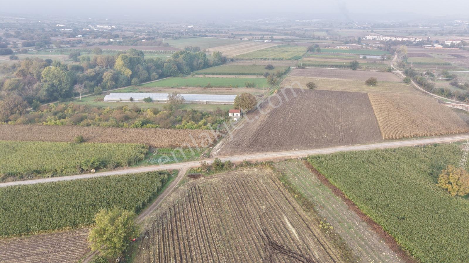 Balıkesir Altıeylül Pamukçuda Satılık 5.262 M² Tarla — fotoğraf 6