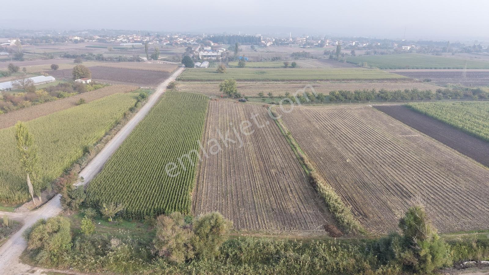 Balıkesir Altıeylül Pamukçuda Satılık 5.262 M² Tarla — fotoğraf 7