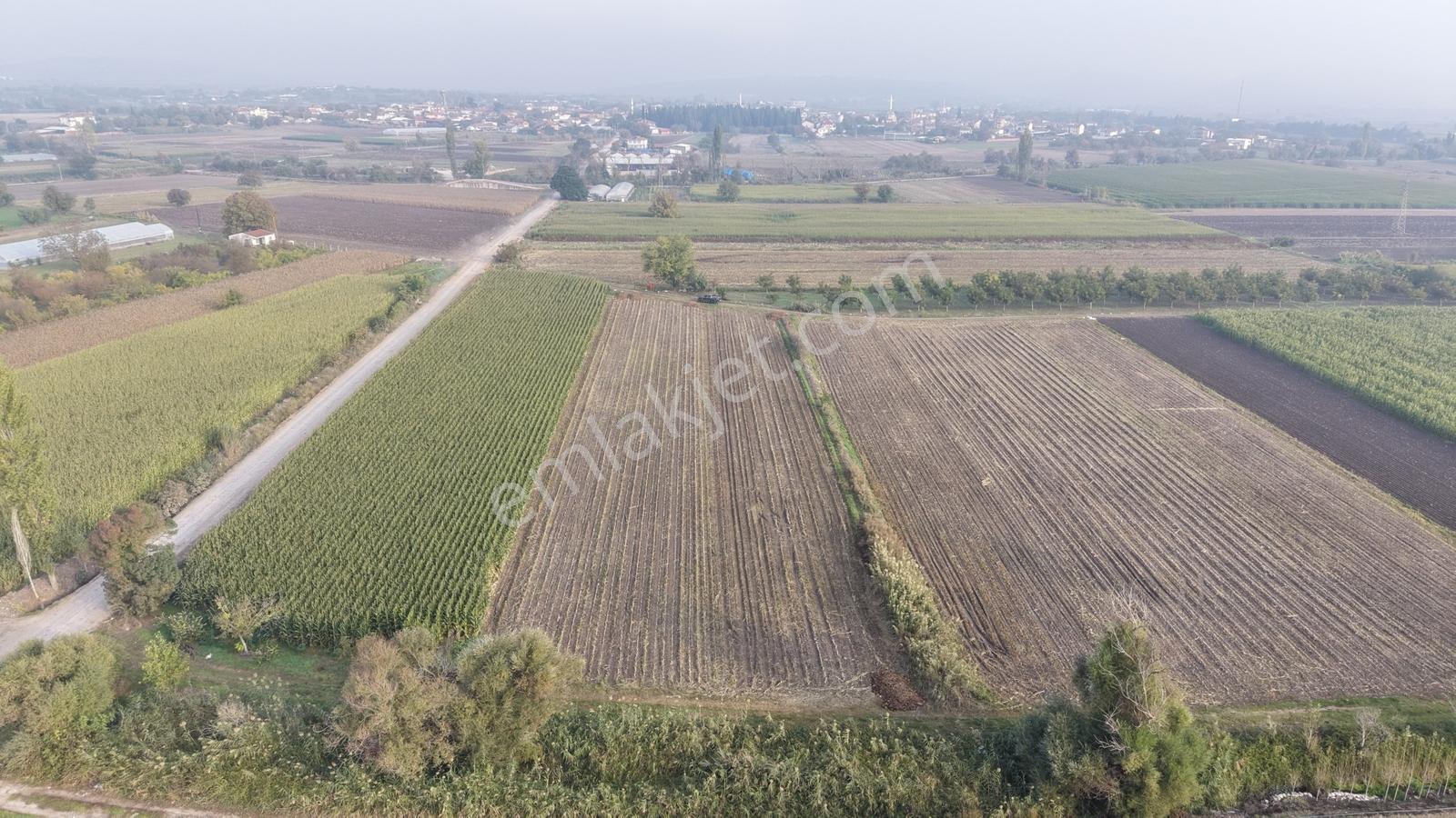 Balıkesir Altıeylül Pamukçuda Satılık 5.262 M² Tarla — fotoğraf 8